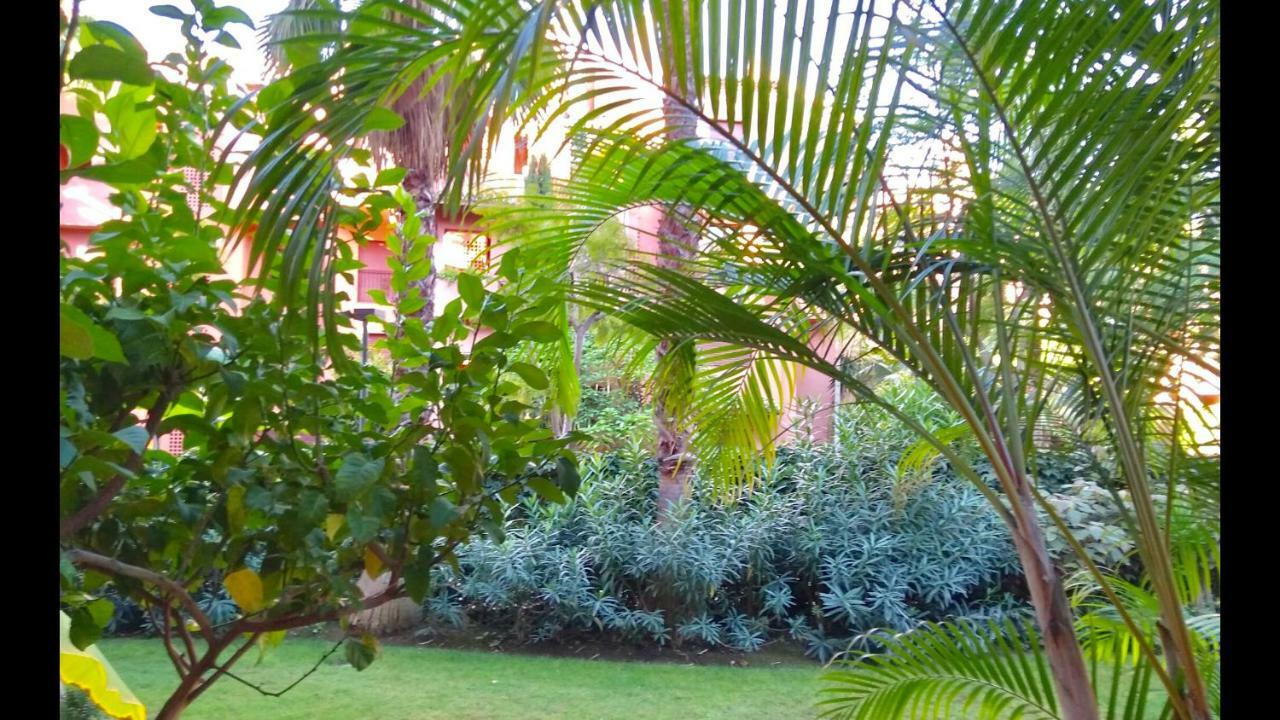 Marbella Alicate Beachfront - Luxury Apartment-2 Zewnętrze zdjęcie